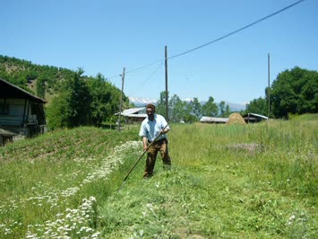 Aşşahki Gürnatel