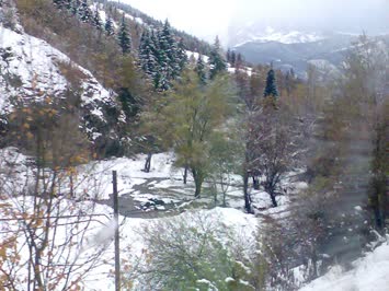Ankliya