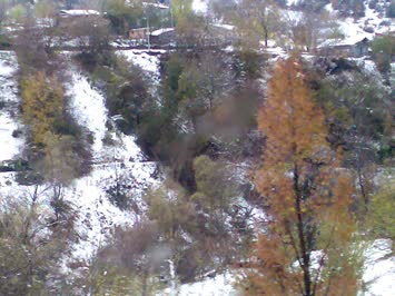Ankliya