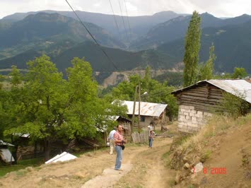 Taner Sancar Galeri