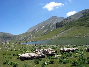 Arsiyan Yaylası