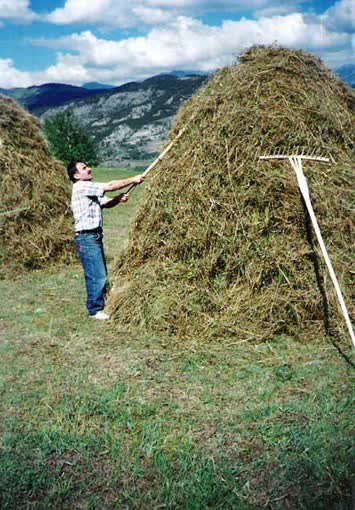 Karavat