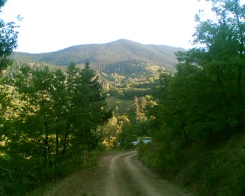biyotur giriş