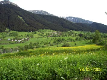 Soporo