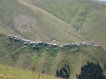 Yayla