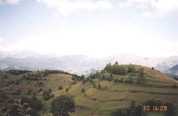 salamurta