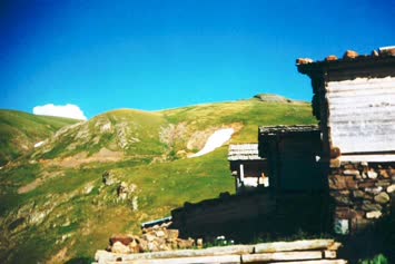 Kokolaya bakış