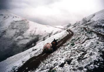 Yayla dönüş nostaljisi (Çhokoba)