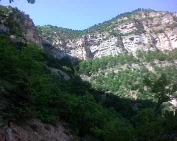 Zekeriya Turan Seçkin