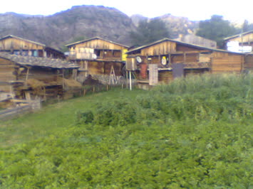 Cinal