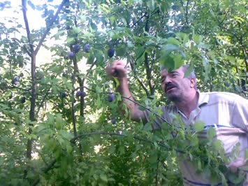 afiyet olsun nuri bey