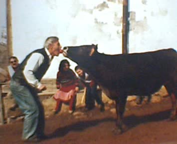 Yavuz Demirci