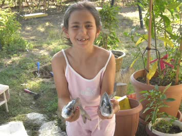 aylin celik