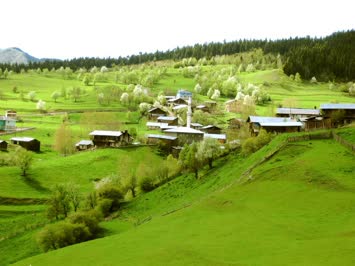 Meşeli Köyü