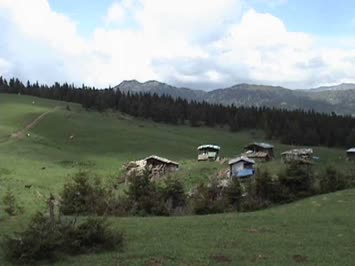 2007