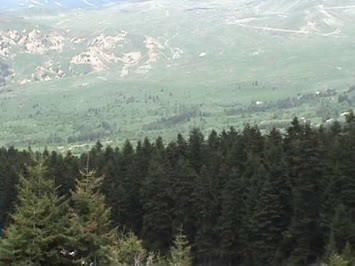 sabuzardan arsiyan görünümü