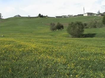 2007