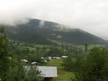 harman