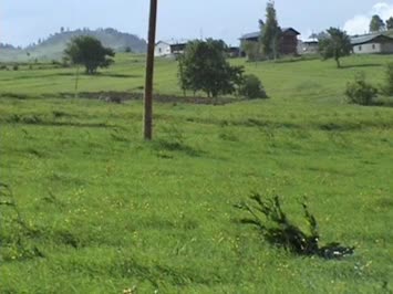 kodunbaşi


suat