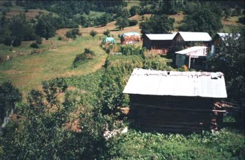 Süles