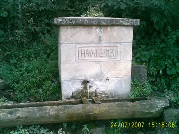 hayat çeşmesi