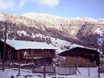 ENİS YETERİN EVİNDEN NEFİS BİR ORMAN MANZARASI GÖRÜNÜMÜ