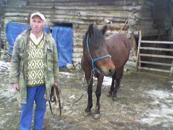 erol demirci ve küheylanı