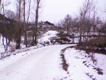 manzara
