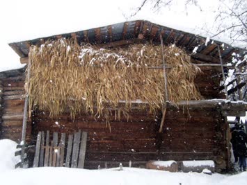 Manasgil