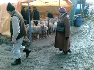 Kurban Zamanı 2007 Bursa Ferhan Kaya ve Eşi Zendaba