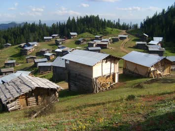 Yayla