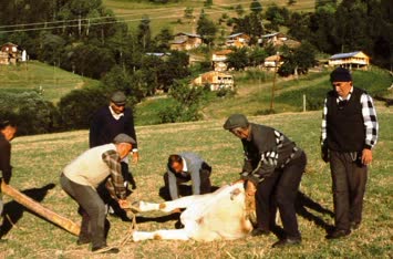 Tarih oldu