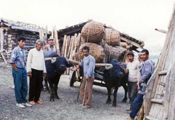 Sepet borsası