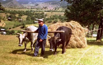 Benim babam (Verhunal’da tabanca ustası Nuri Usta