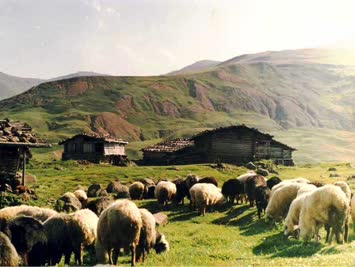 Verhunal yaylası eylül ayı.