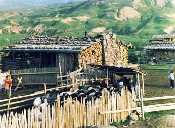 Ber