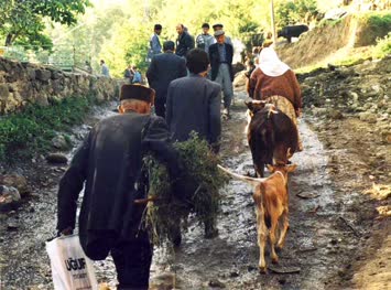 Şavşat mal pazarına giderken