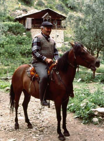 At Üstünde