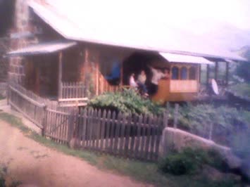 alettin avci nin evi