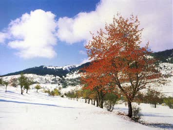 Tibet’te Kış