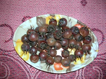Zendabadan kış resimleri