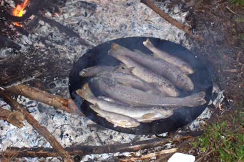 Tavada