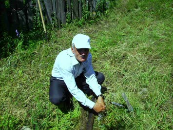 kodlarin suyu