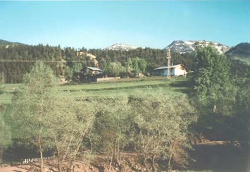Halit Topçu
