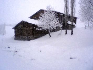 yaşar TABAN