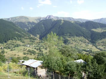 Yavuz Köy
