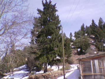 buda başka bi güzellik.