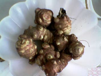 Yer Elması