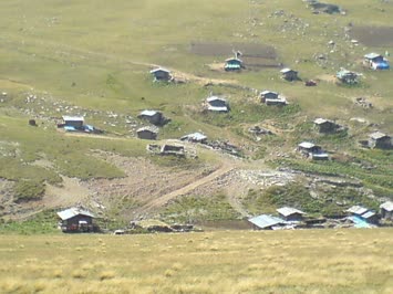 A.Süles Yayla 