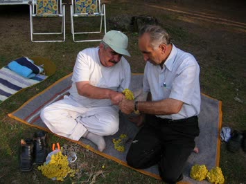 Zendebadan insan manzaraları